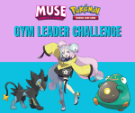 Gym Leader Challenge